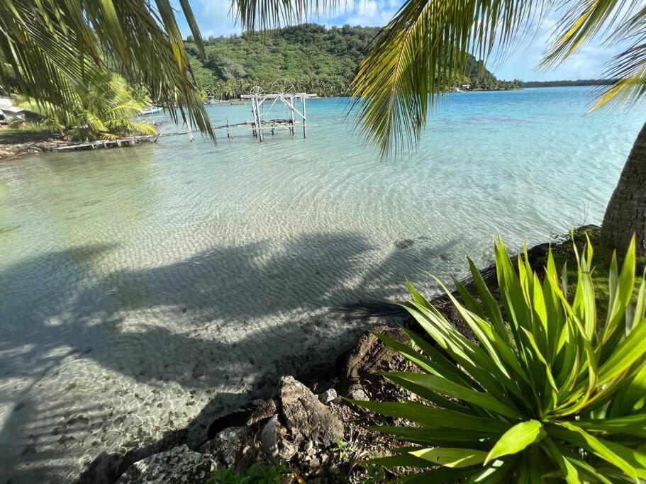 Waterfront Paradise 2 Br; Stunning Sunsets โบราโบรา ภายนอก รูปภาพ